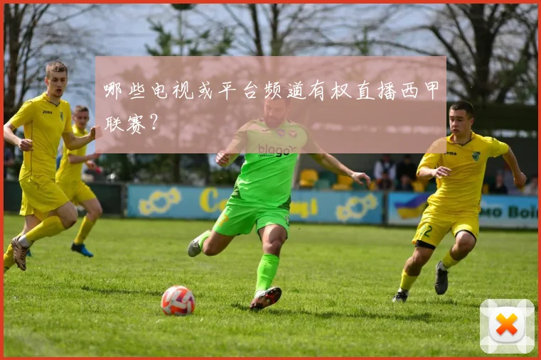 哪些电视或平台频道有权直播西甲联赛?