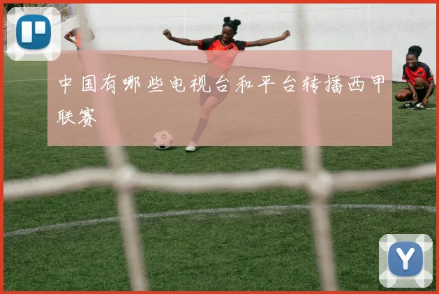 中国有哪些电视台和平台转播西甲联赛