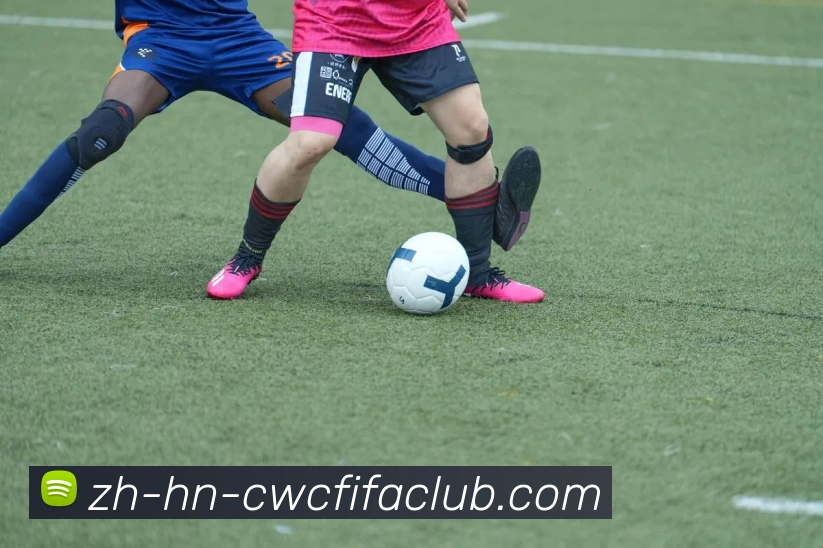 世界杯竞猜平台生态图