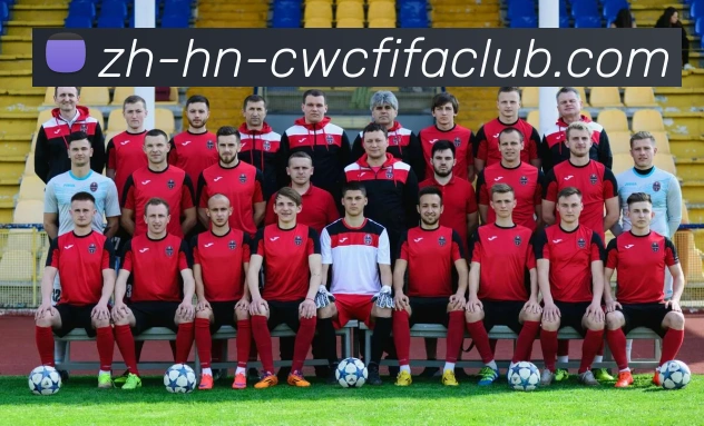 世界杯竞猜APP 封面图